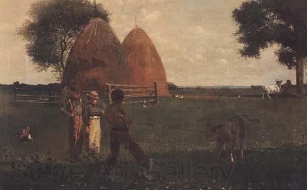 Winslow Homer Weaning the Calf (mk44)